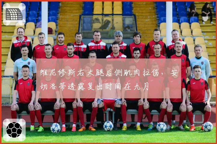 维尼修斯右大腿后侧肌肉拉伤,安切洛蒂透露复出时间在九月