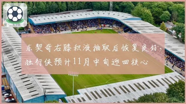 东契奇右膝积液抽取后恢复良好,独行侠预计11月中旬迎回核心