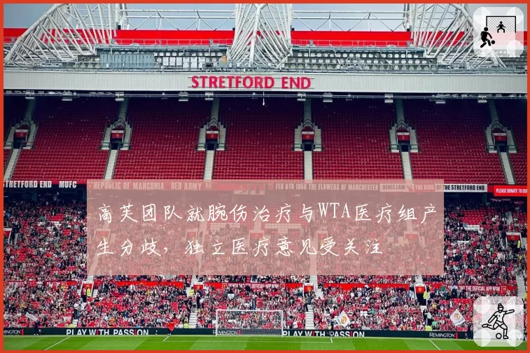 高芙团队就腕伤治疗与WTA医疗组产生分歧，独立医疗意见受关注