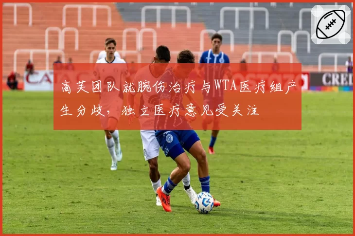 高芙团队就腕伤治疗与WTA医疗组产生分歧，独立医疗意见受关注